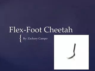 Flex-Foot Cheetah