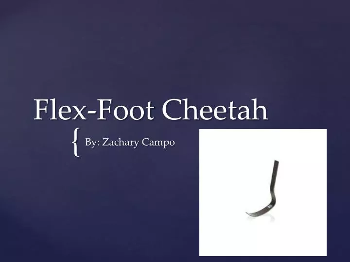 flex foot cheetah