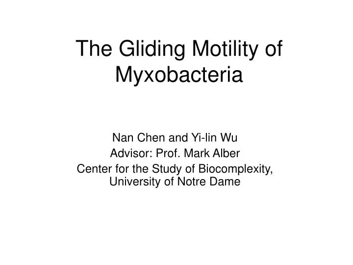 the gliding motility of myxobacteria