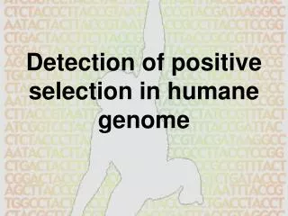 Detection of positive selection in humane genome