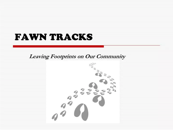 fawn tracks