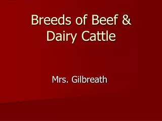 Breeds of Beef &amp; Dairy Cattle