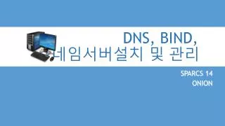 dns bind
