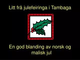 litt fr julefeiringa i tambaga