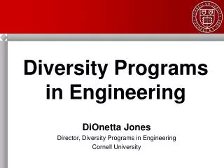 Diversity Programs in Engineering