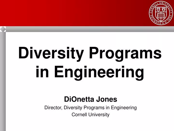 diversity programs in engineering