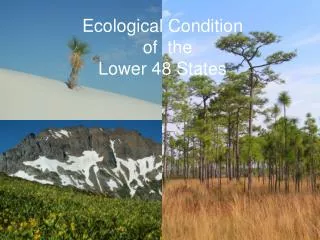 Ecological Condition of the Lower 48 States