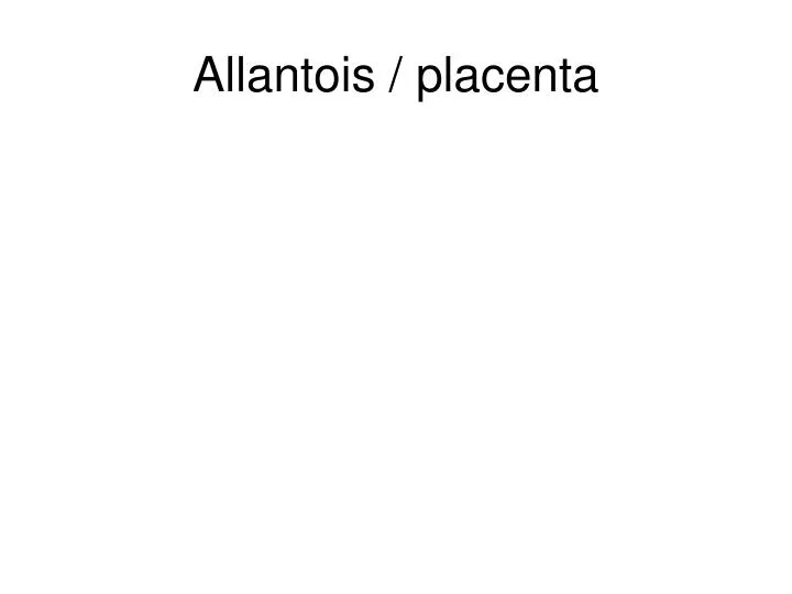 allantois placenta