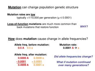 Mutation can change population genetic structure