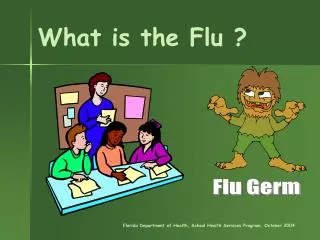 What is the Flu ?