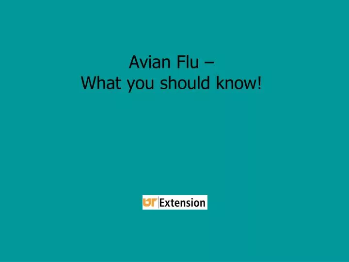 avian flu what you should know