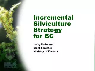 Incremental Silviculture Strategy for BC