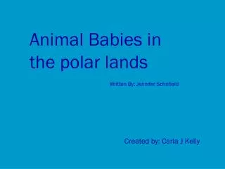 Animal Babies in the polar lands