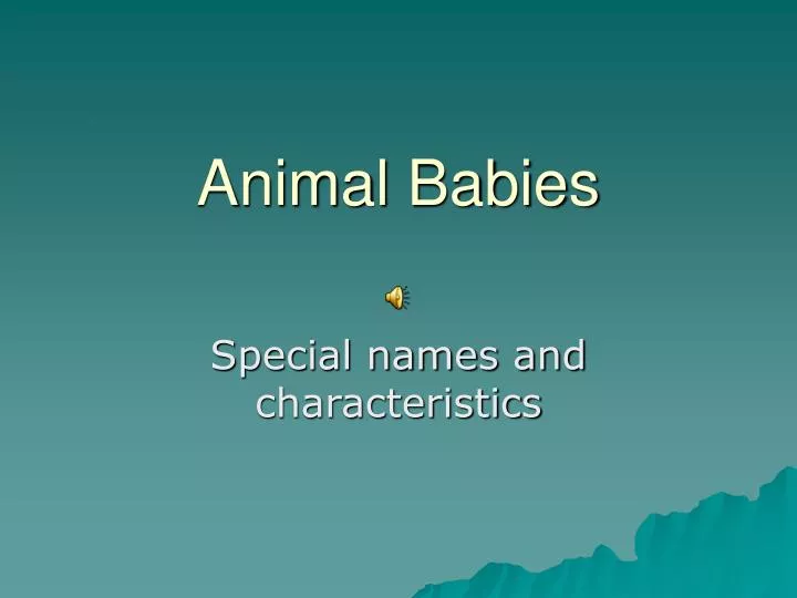 animal babies