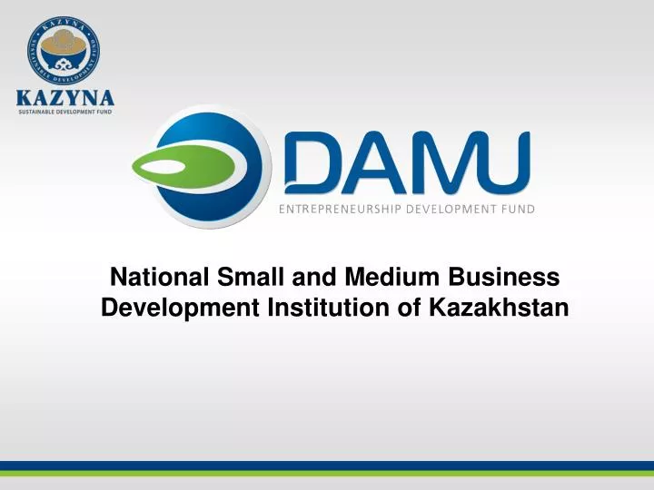 national small and medium business development institution of kazakhstan