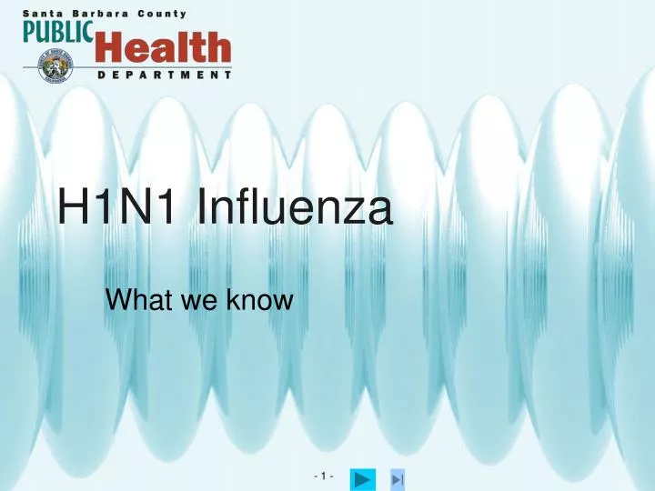 h1n1 influenza