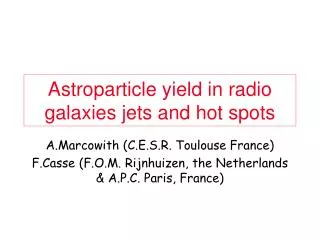 Astroparticle yield in radio galaxies jets and hot spots