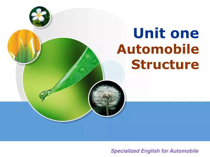 unit one automobile structure