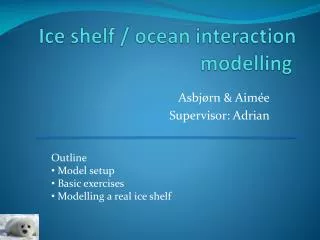 Ice shelf / ocean interaction modelling