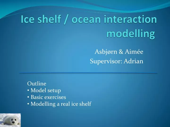ice shelf ocean interaction modelling