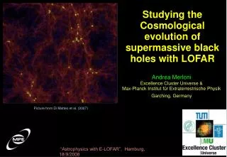 Studying the Cosmological evolution of supermassive black holes with LOFAR