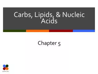 Carbs , Lipids, &amp; Nucleic Acids