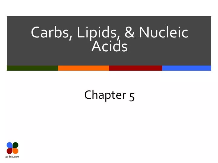 carbs lipids nucleic acids