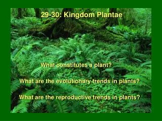 What constitutes a plant?