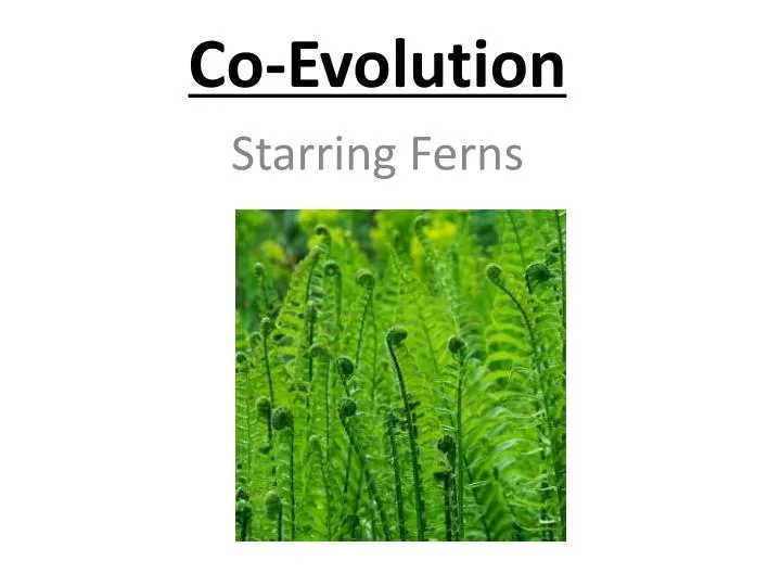 co evolution