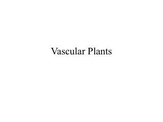 Vascular Plants