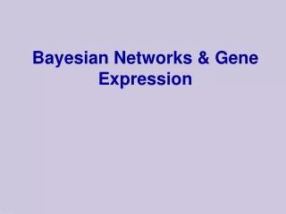 Bayesian Networks &amp; Gene Expression