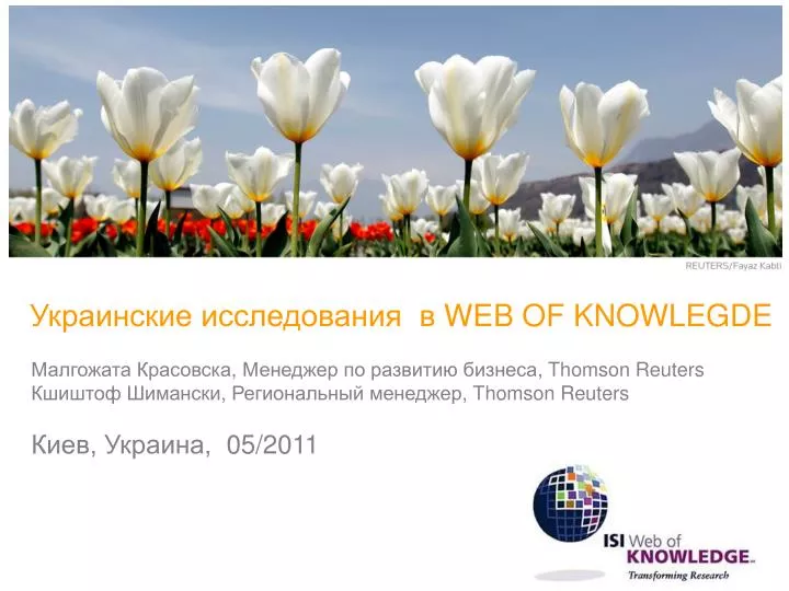 web of knowlegde