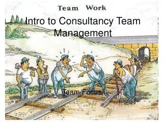 Intro to Consultancy Team Management