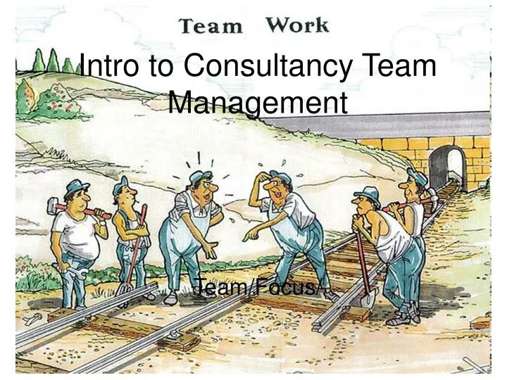 intro to consultancy team management