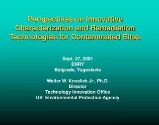 Perspectives on Innovative Characterization and Remediation Technologies for Contaminated Sites