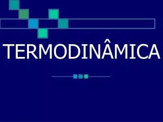 termodin mica