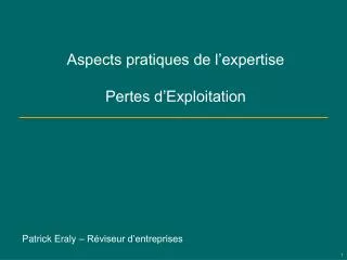 aspects pratiques de l expertise pertes d exploitation