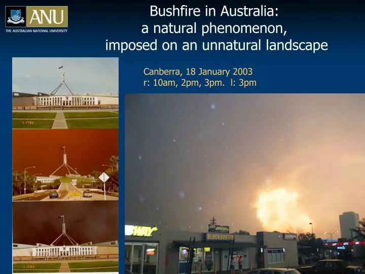 bushfire in australia a natural phenomenon imposed on an unnatural landscape