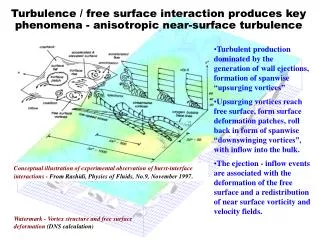 Turbulence / free surface interaction produces key phenomena - anisotropic near-surface turbulence