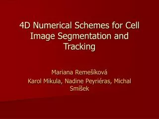 4D Numerical Schemes for Cell Image Segmentation and Tracking
