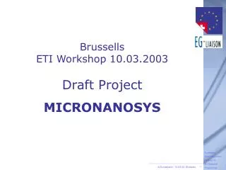 Brussells ETI Workshop 10.03.2003 Draft Project MICRONANOSYS