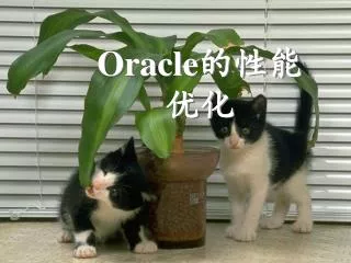 oracle