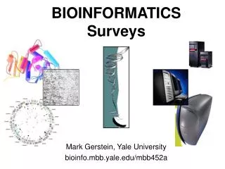 BIOINFORMATICS Surveys