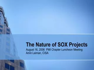 The Nature of SOX Projects