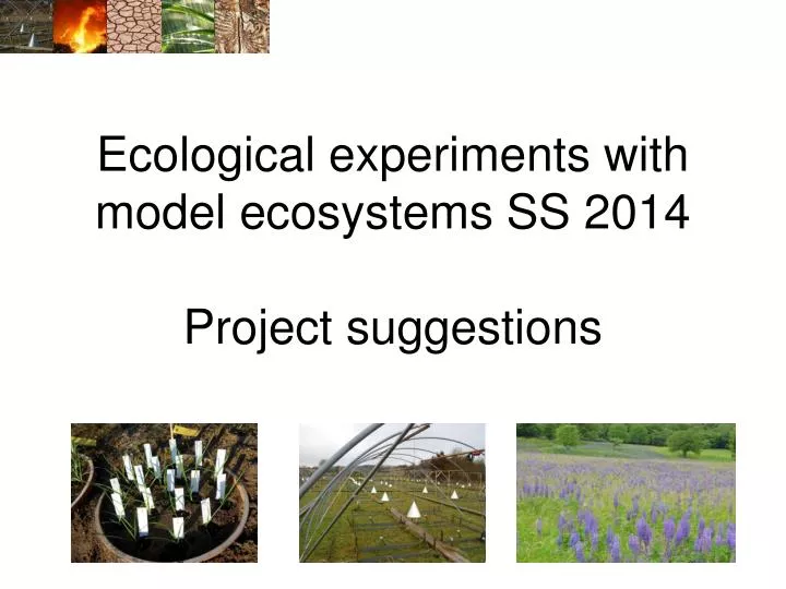 ecological experiments with model ecosystems ss 2014 project suggestions