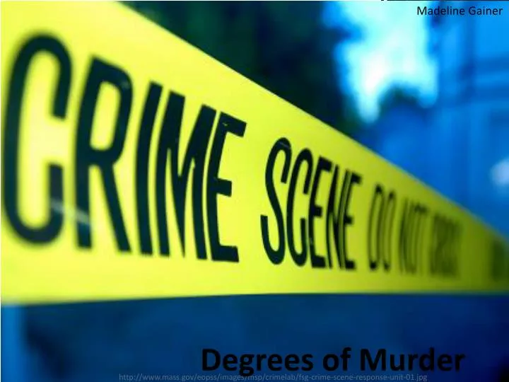degrees of murder