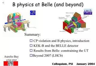 B physics at Belle (and beyond)