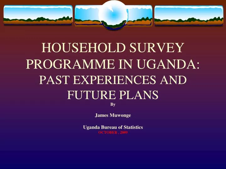 household survey programme in uganda past experiences and future plans