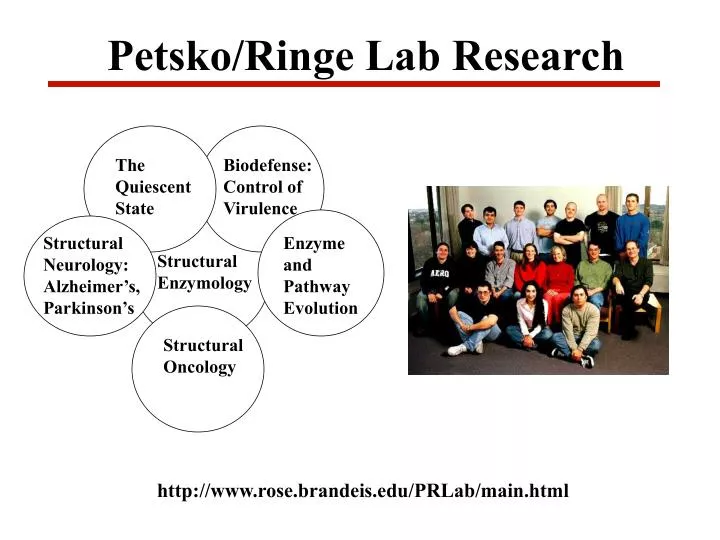 petsko ringe lab research