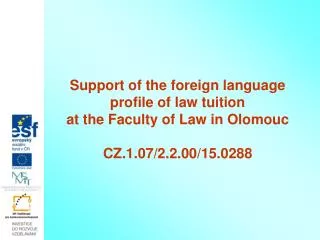 Support of the foreign language